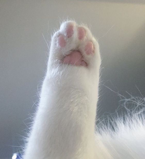 1737602081925.png
