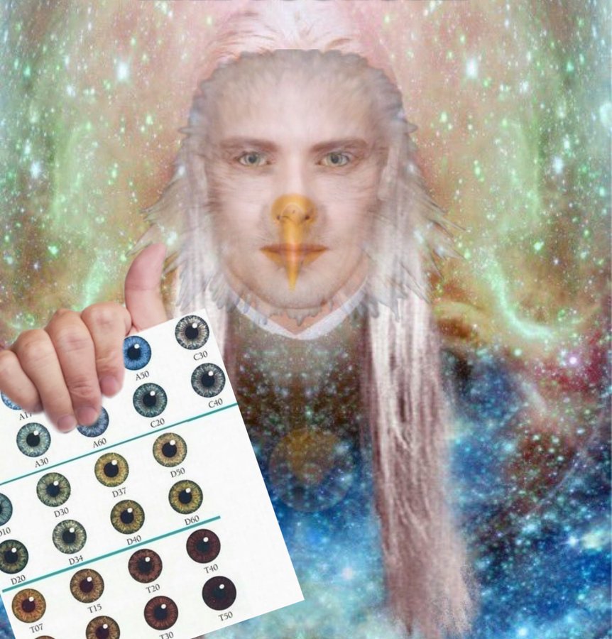 1738136144144736.jpg