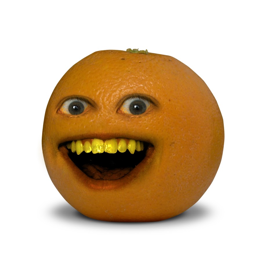 1738437088900.jpeg
