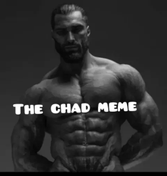 1738566154335x.png