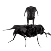 1739231292032.png