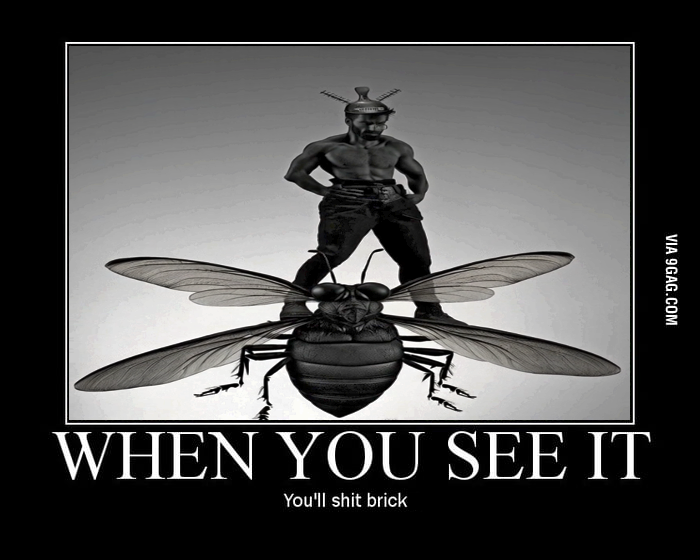 1739298948283.png