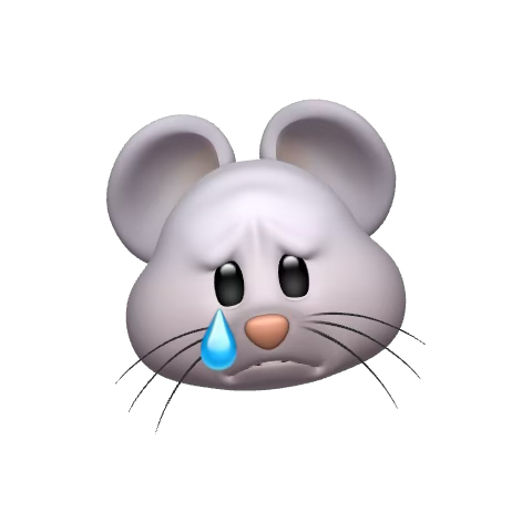 1739575137724.png
