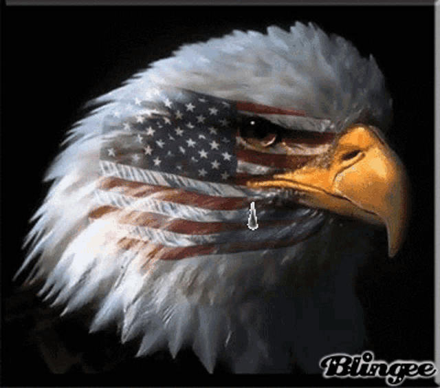 1739850393577456.gif