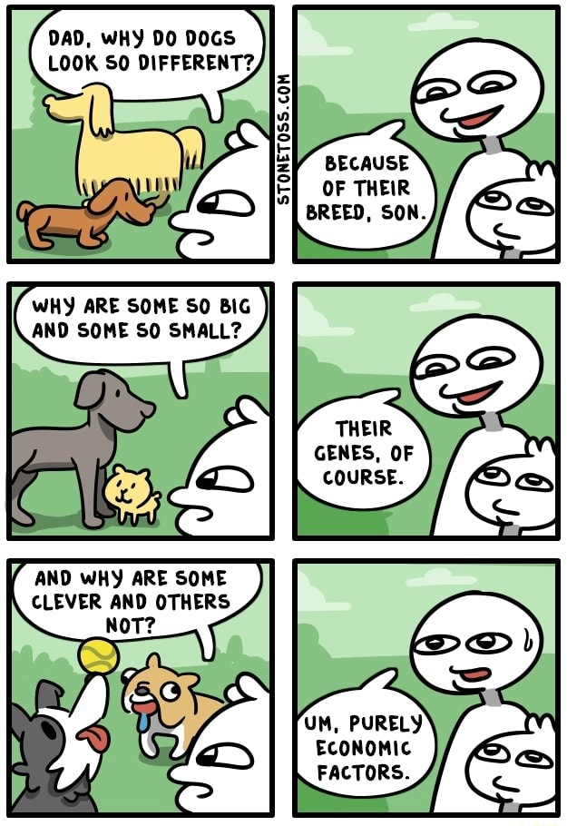 1741635251810.png