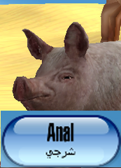 1741793030838.png