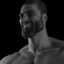 1742011935717f.gif