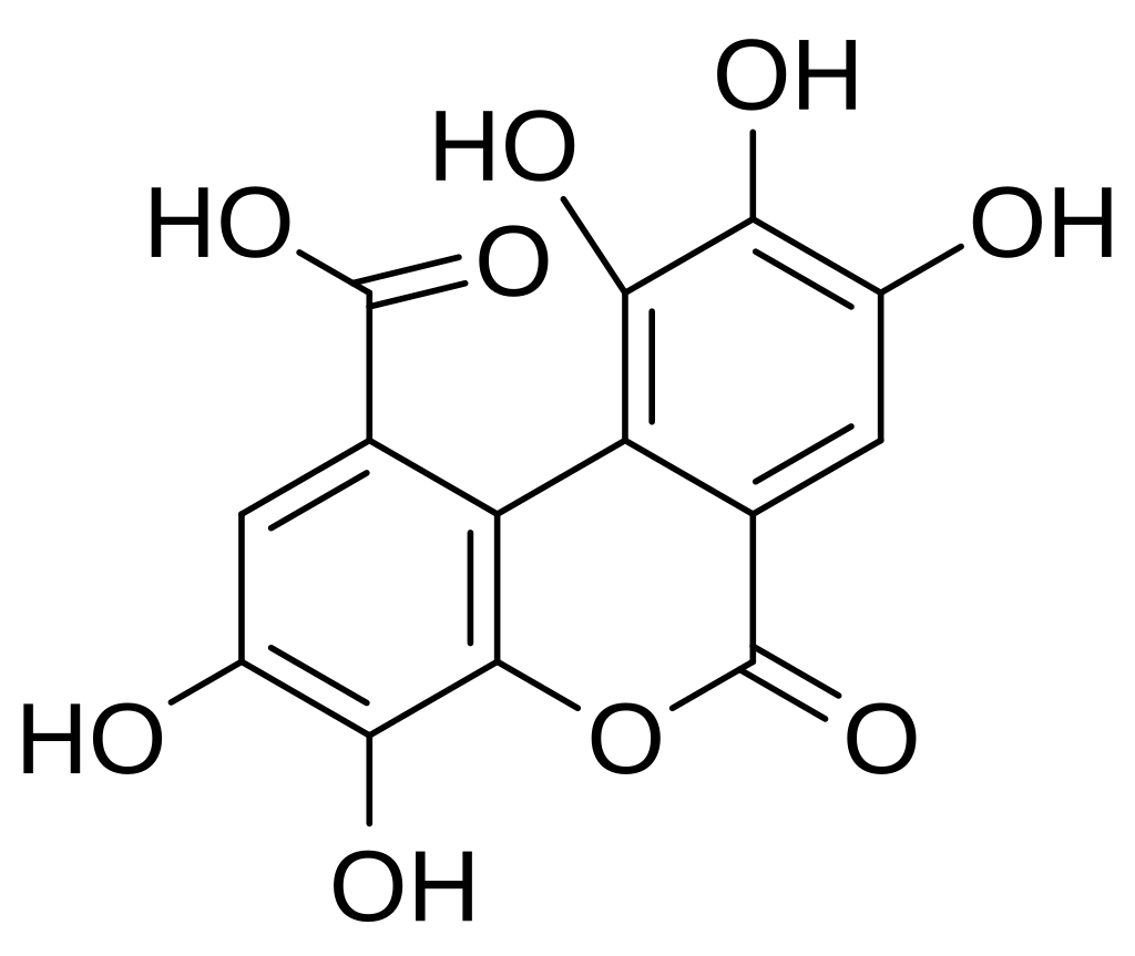 1742233753745.png
