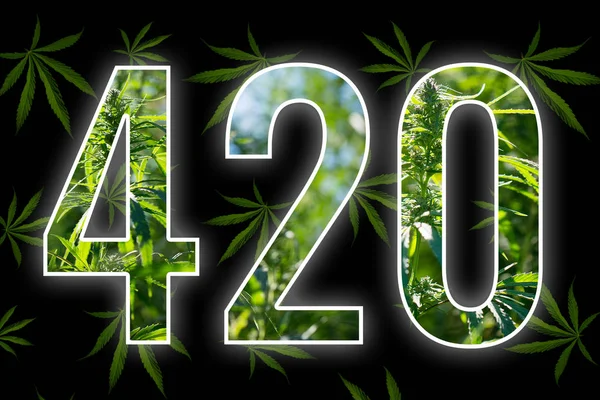 1742459045897.png