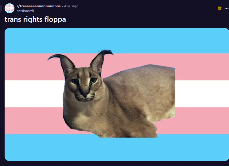 1742586590007.png