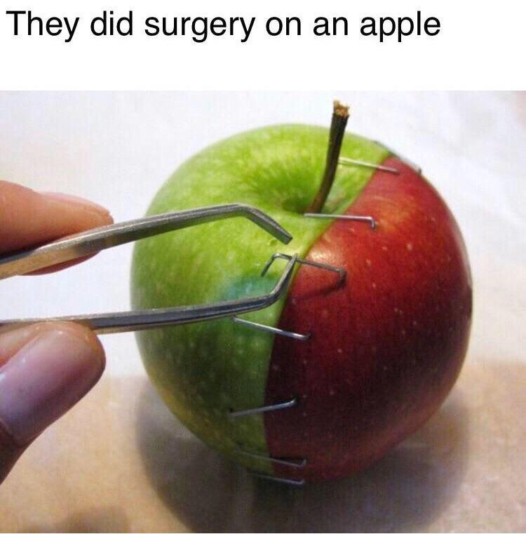 1742910220226.jpeg