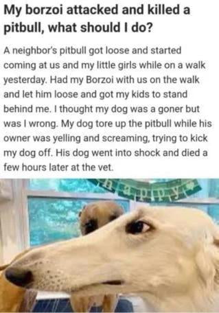 1742947395986.jpeg