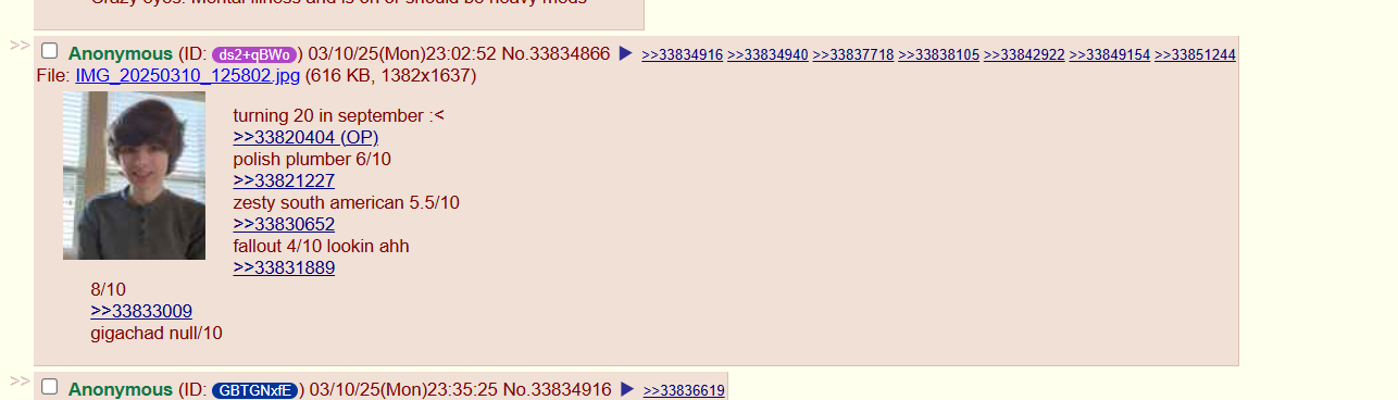 1743113176580.png