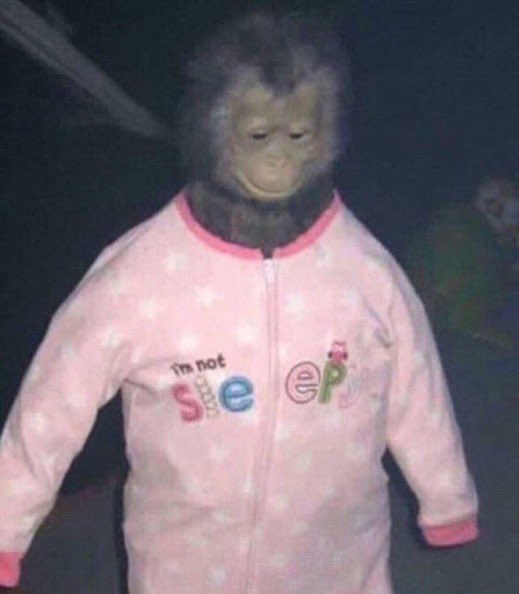 1743212315495.jpeg