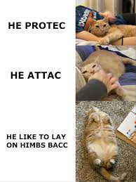 1744552991832.jpeg