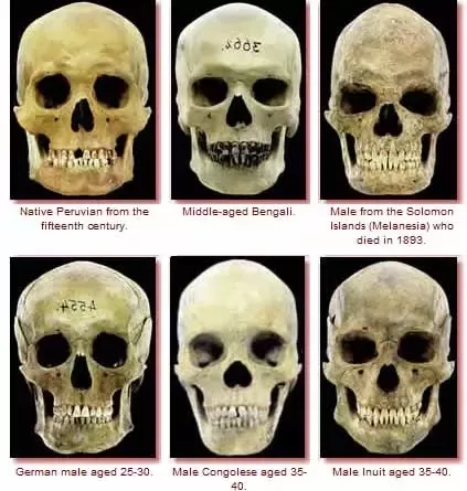 1744822669845.png