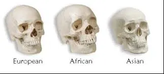 1744822688091.png