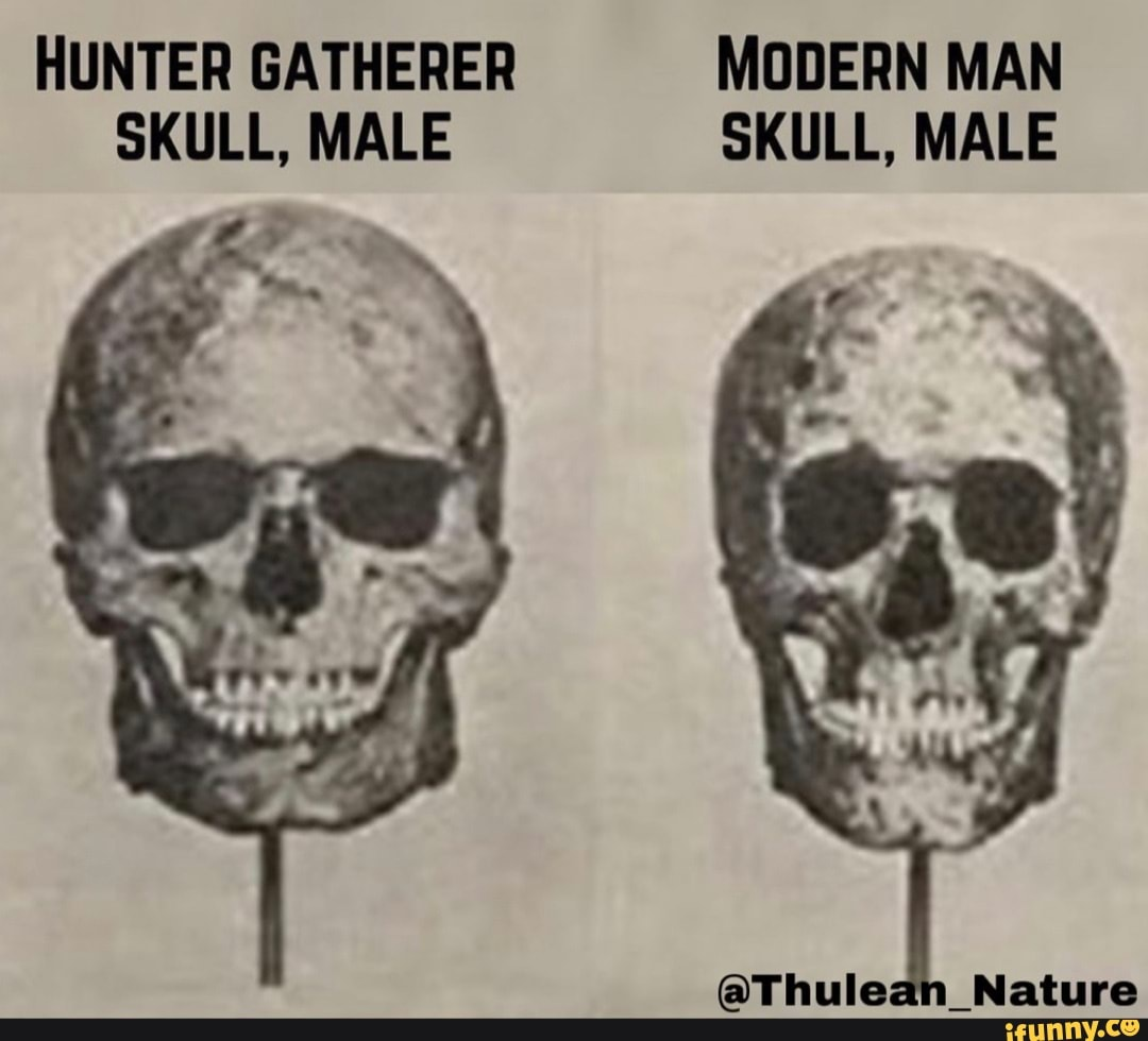 1744822716576.png