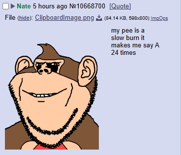 1745113198666n.png