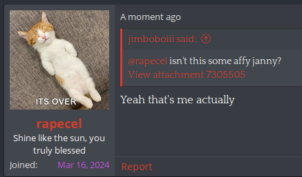 1746144466208.png
