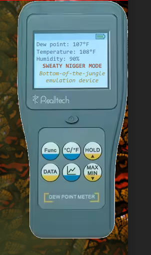 1746390958515.png