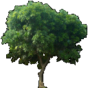 1751012818093.png
