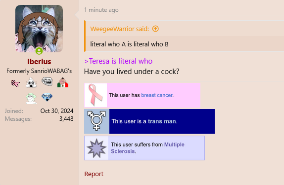 1751087013173.png