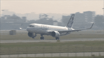 200-121494047.gif