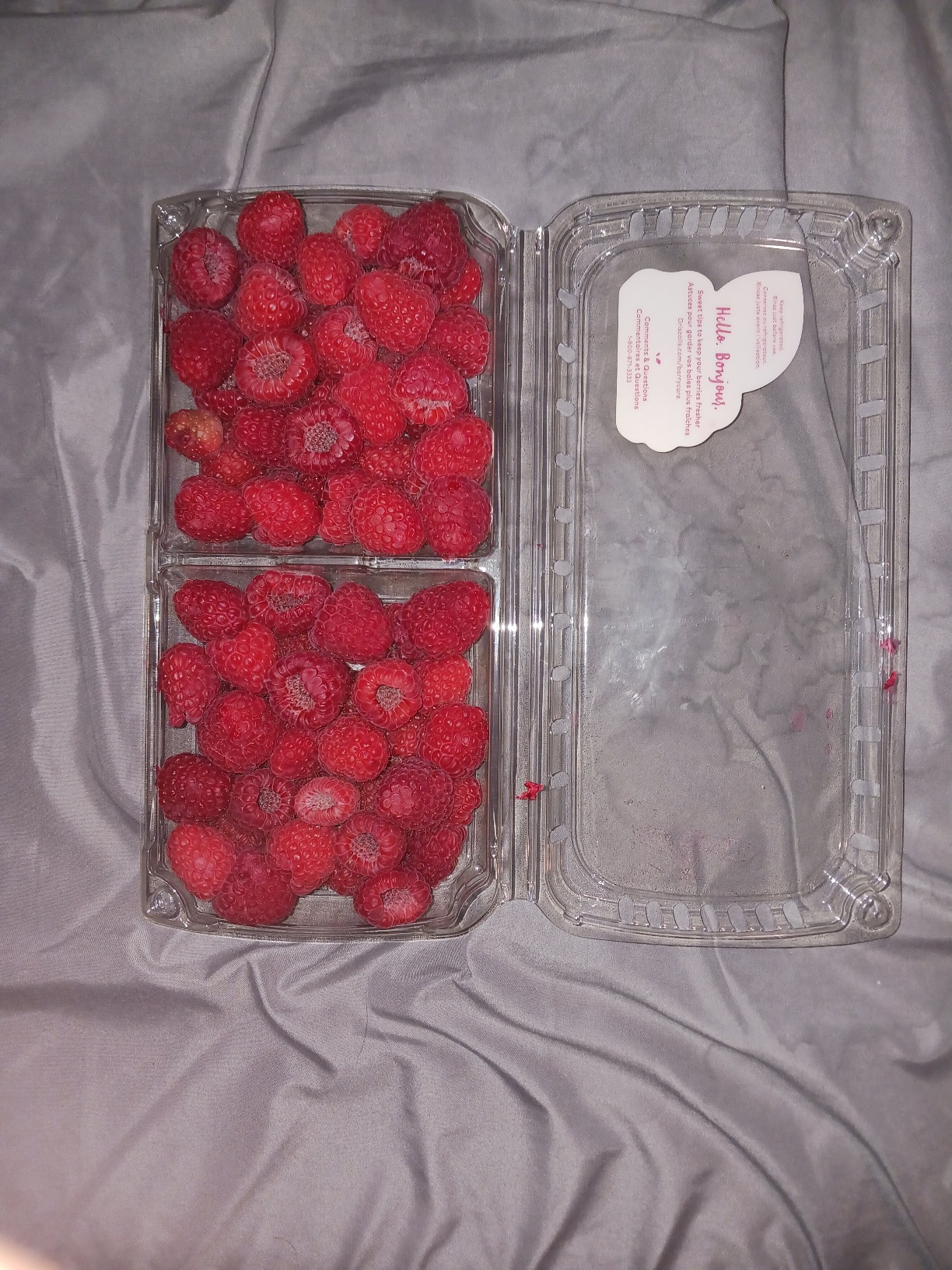 20240721_191950.jpg
