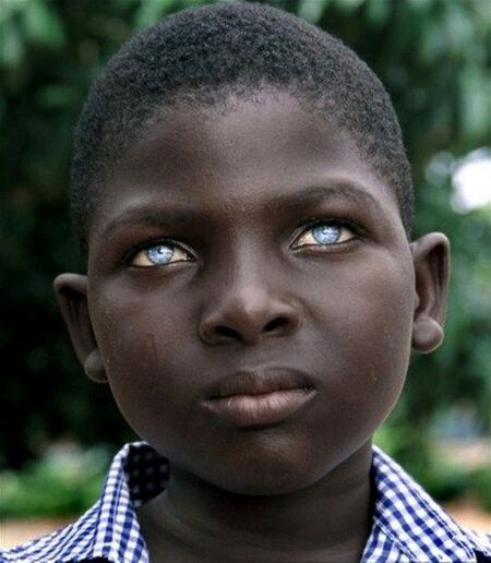 450px-The_burundian.jpg
