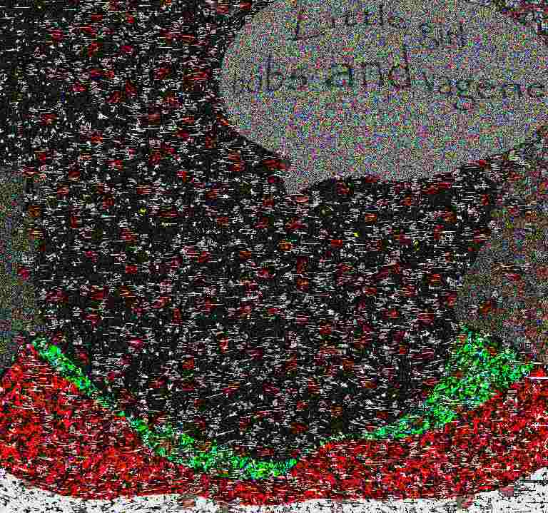 50.jpg