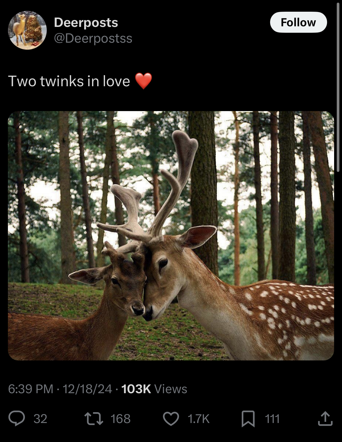 6C357ADB-9F79-46CC-B2CB-93D0AD1C5D1D.jpeg