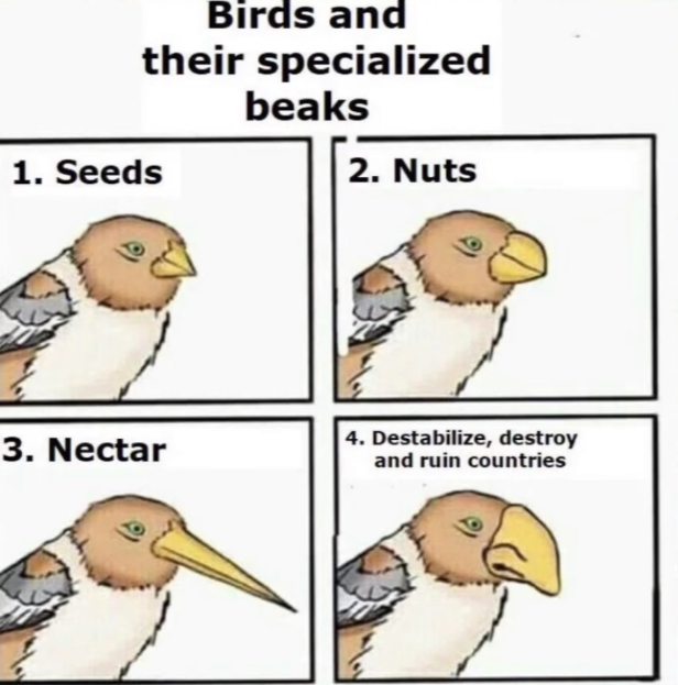 75473801-6E91-4F3E-98EE-8294E2D82776.jpeg