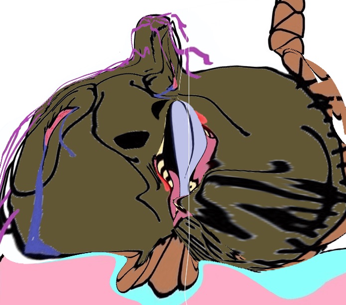 7D88D5FF-1D96-4153-AE76-4018170F9ABF.jpeg