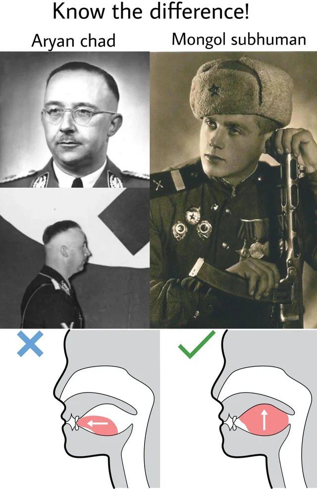 804D440C-6F2F-4367-AF11-B80E4E4D251D.png