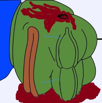 82 - pepe shot.jpg