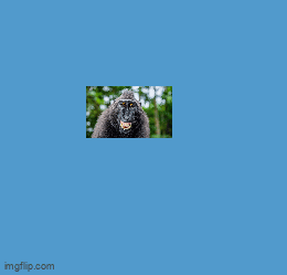 9himbc.gif