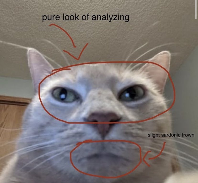 analyzing.jpg