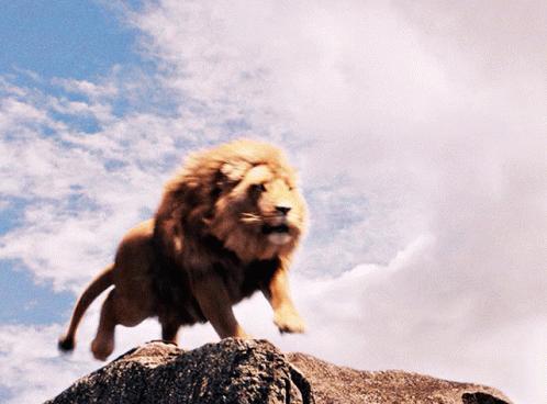 AslanRoarGIF.gif