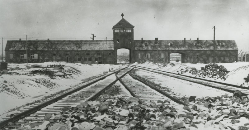 AuschwitzAnIntroduction_1-800x417.jpg