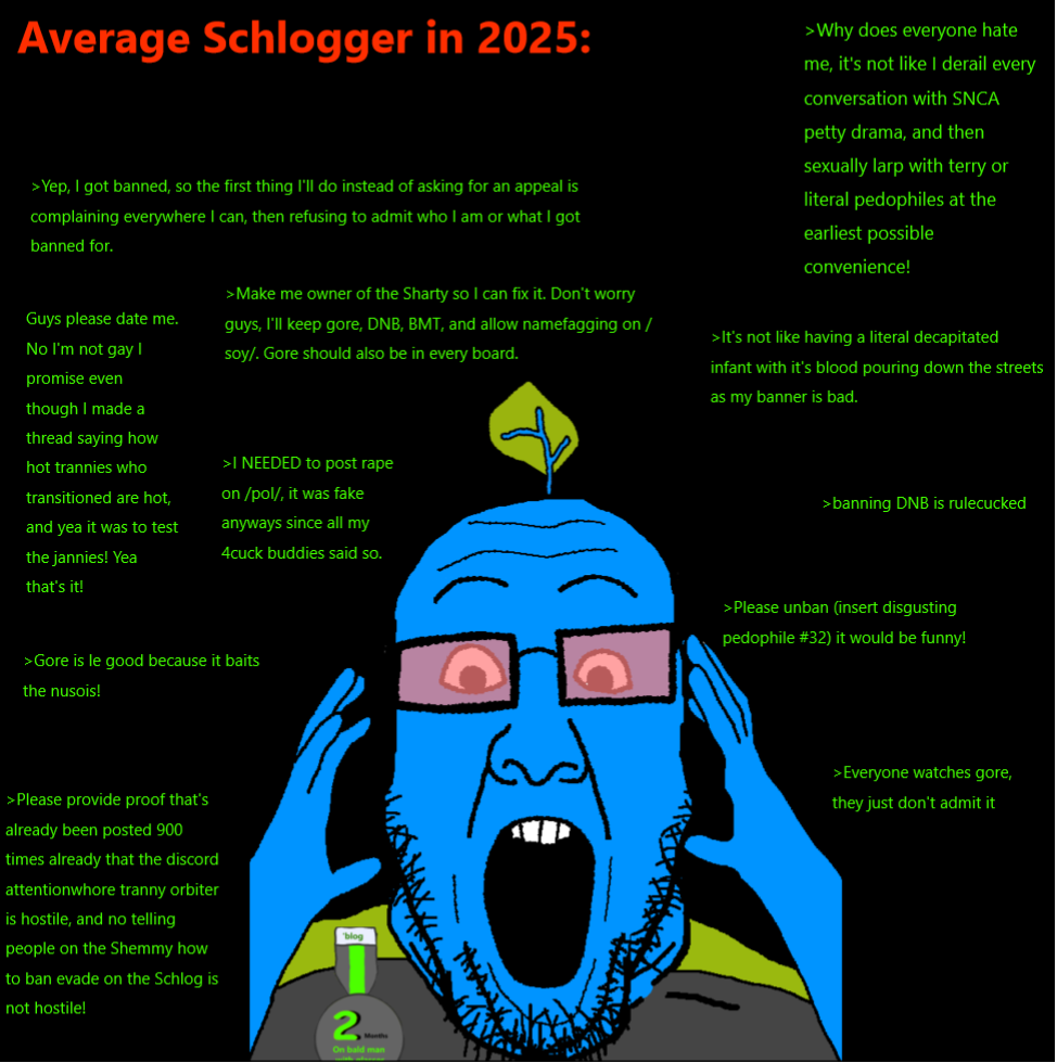 Average2025schlogger (1).png