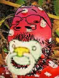 babymush.jpg