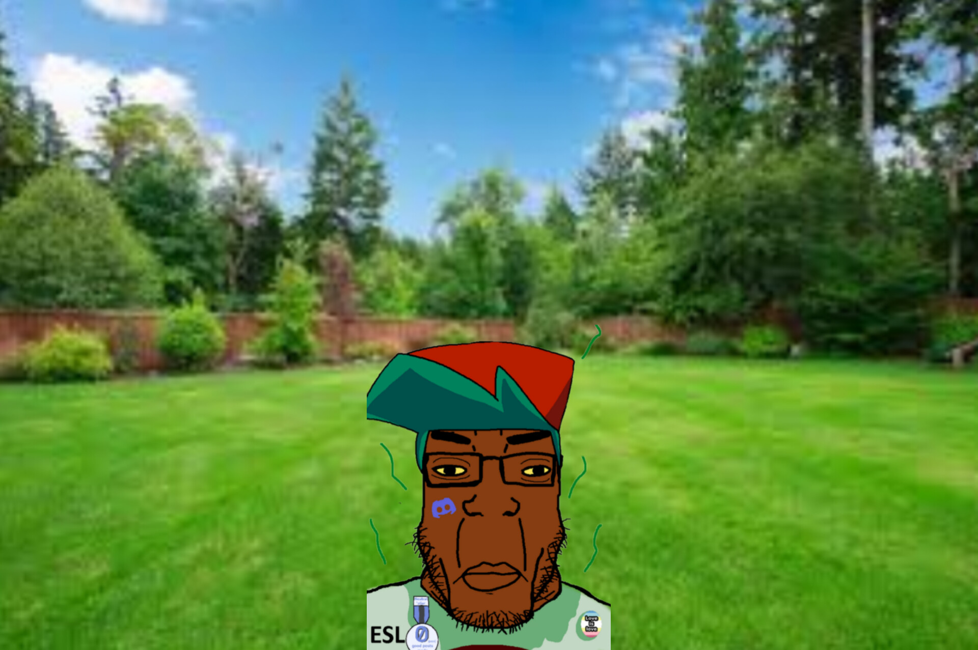 backyard.jpg