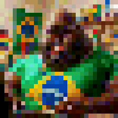 brapzillianpixel.gif