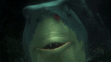 bruce-that's-good.gif