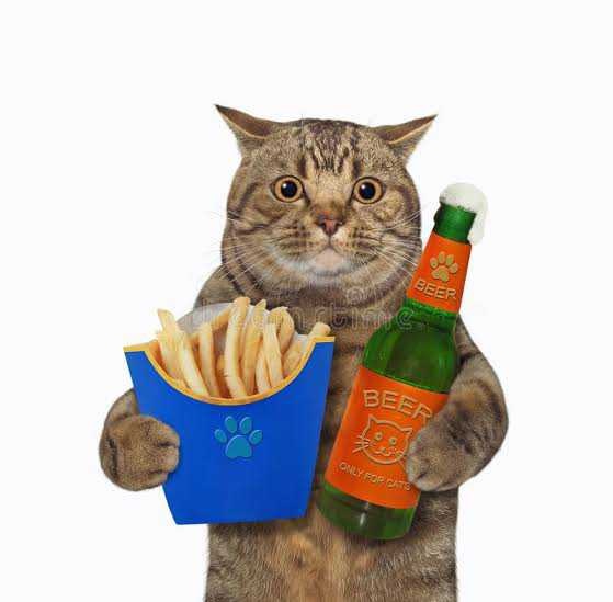 cat food.jpg