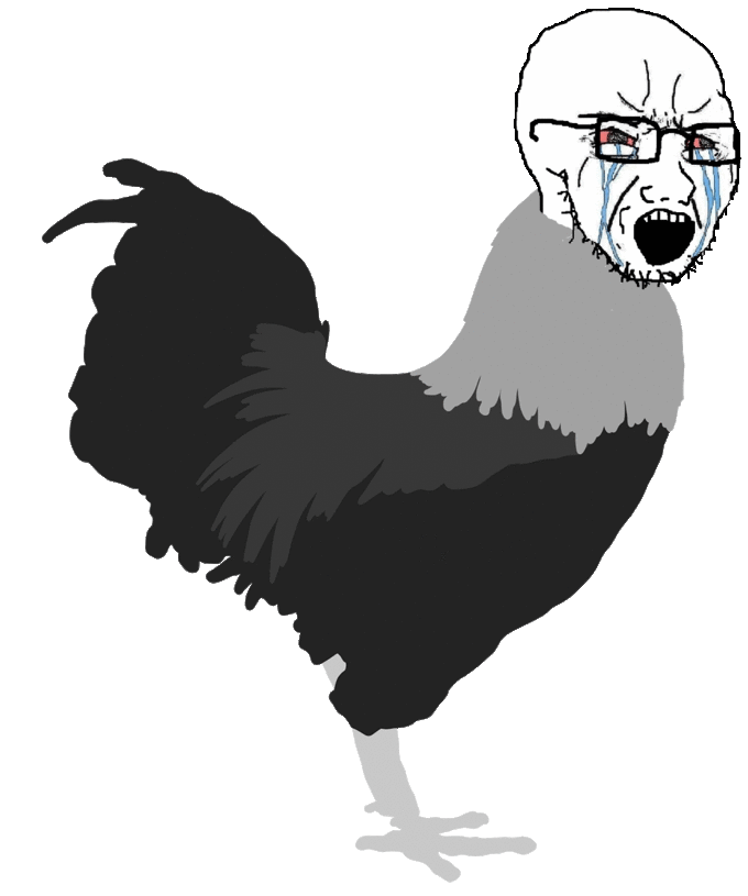 chickensoy.gif