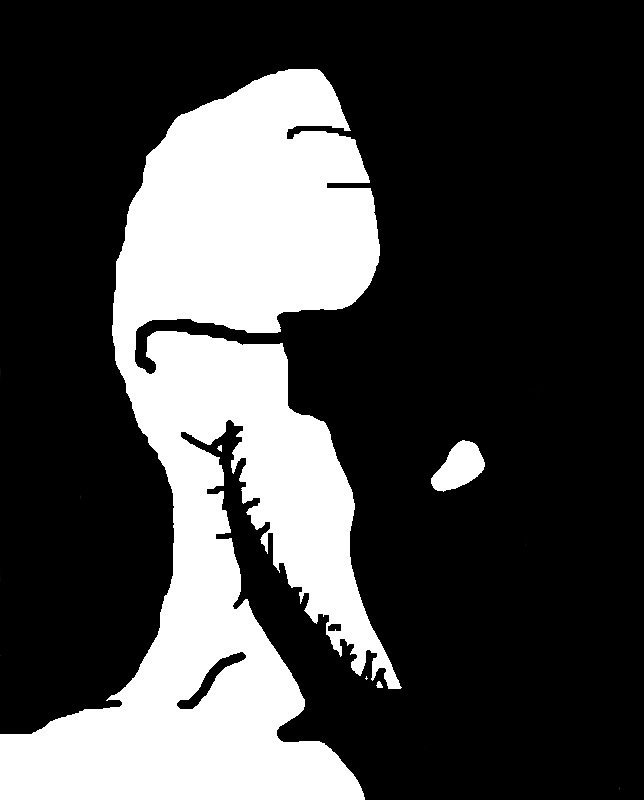 ClipboardImage (3) (1).png