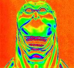 Colorfvl.gif