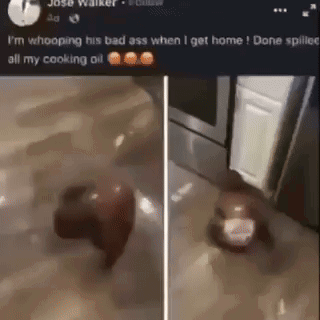 cooking oil.gif